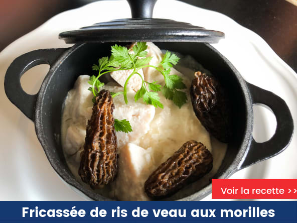 Fricassée de ris de veau aux morilles